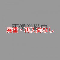 【廃番・再入荷なし】リスダン リボーン [18L] - 特殊溶剤ハクリ剤