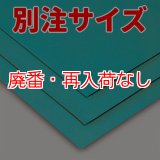 【廃番・再入荷なし】■別注サイズ・キャンセル不可■テラモト ターポリンシートＡＰＥ - 体育館、ワクチン接種会場などの床面を保護するシート【代引不可】