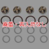 【廃番・再入荷なし】300psiポンプ用リビルドキットB(Valve and Seals)