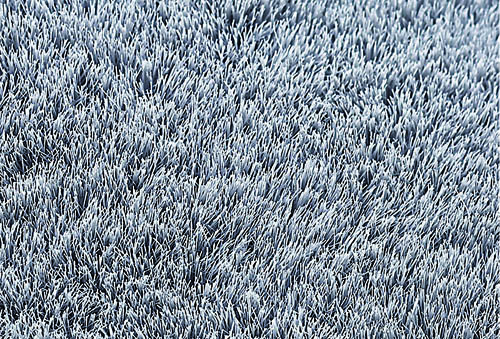 山崎産業 セラスクレイプパット 250 - セラミック床の凹凸洗浄用パッド 
