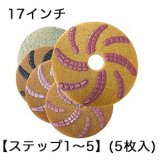 S.M.S.Japan チーターパッド 5インチ【ステップ1から5】(5枚入) - 石材