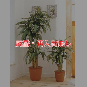 画像1: 【廃番・再入荷無し】山崎産業 ピュアメイト 幸福の木 - お部屋の空気を浄化する人工樹木 (1)