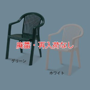 画像1: 【廃番・再入荷なし】テラモト ガーデンフィジーアームチェア【代引不可】 (1)