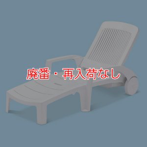 画像1: 【廃番・再入荷なし】テラモト フィジーサンラウンジャー【代引不可・個人宅配送不可】 (1)